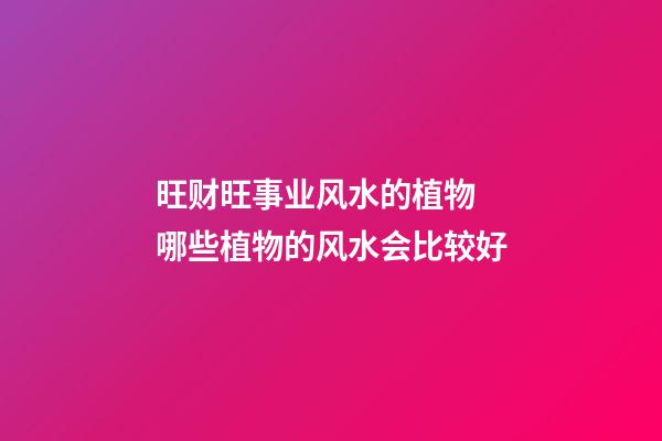 旺财旺事业风水的植物 哪些植物的风水会比较好